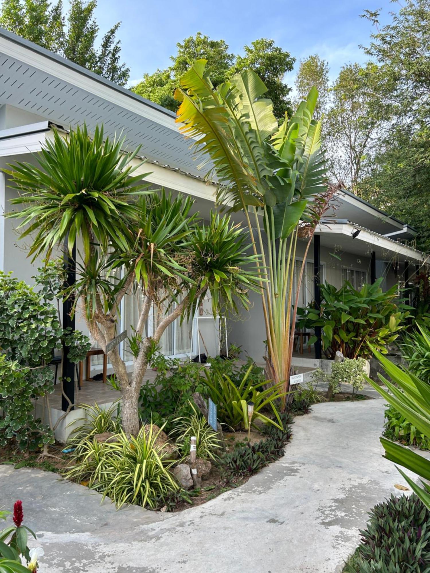 Pico Samui Hotel Bophut Exterior foto